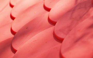 Alvediston plastic roof costs