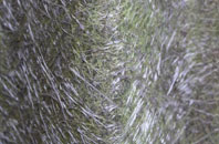 Alvediston fibreglass roof work